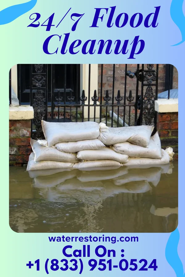 24/7 Flood Cleanup in Mounds, IL
