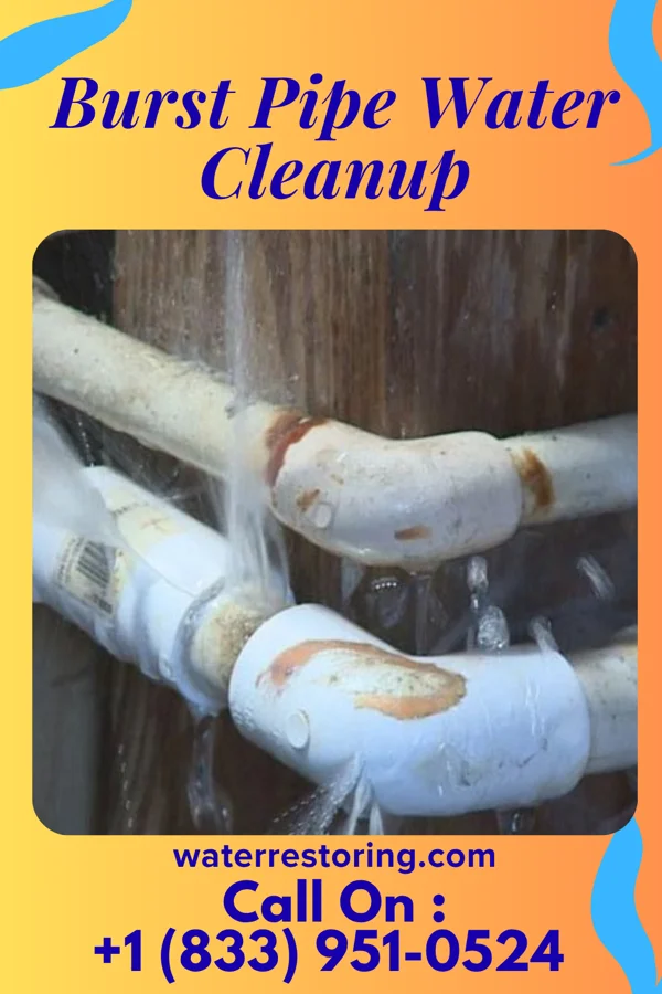 Burst Pipe Water Cleanup in Mounds, IL