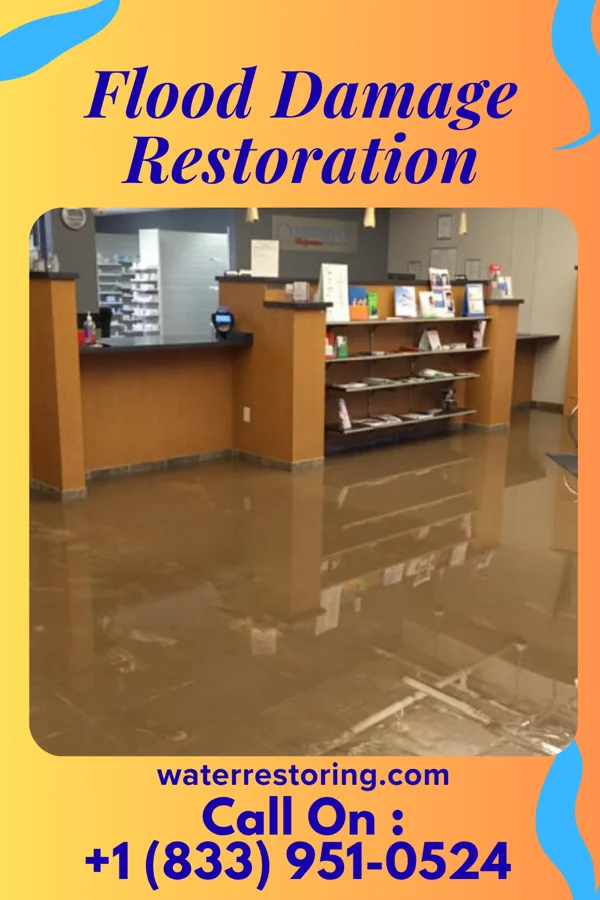 Flood Damage Restoration in Mounds, IL