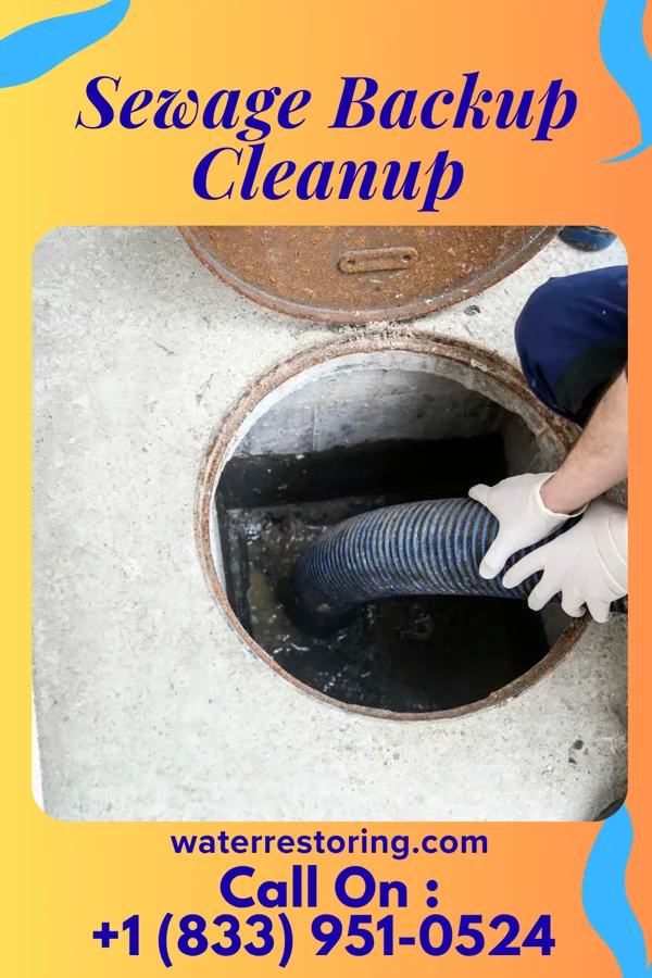 Sewage Backup Cleanup in Mounds, IL