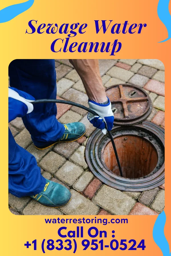 Sewage Water Cleanup in Mounds, IL